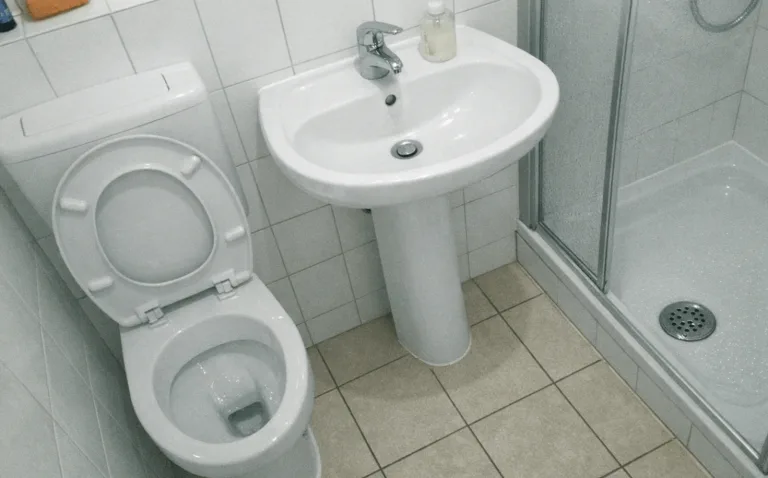 Saubere Toilette mit Werkzeug für eine fachgerechte WC-Reinigung